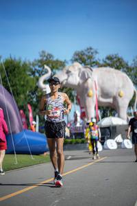 BIB: 
                            <button type="button" onclick="openModal(26543493)" class="btn btn-primary btn-sm float-right btn-popup" data-toggle="modal" data-target=".modal-high-quality">
                        <i class="fas fa-shopping-cart"></i> Add to Cart
                    </button>
                                            <button type="button" onclick="isThisMe(26543493, true)" class="btn btn-success btn-sm float-right btn-popup btn-isme hidden" data-toggle="tooltip" data-placement="bottom" title="นี่คือรูปของคุณใช่ไหม คลิกที่นี่เพื่อเอาเข้าอัลบั้ม">
                        <i class="fas fa-plus"></i> Add to album
                    </button>
                    <button type="button" onclick="isThisMe(26543493, false)" class="btn btn-warning btn-sm float-right btn-popup btn-isnotme hidden">
                        <i class="fas fa-ban"></i> Remove from album
                    </button>